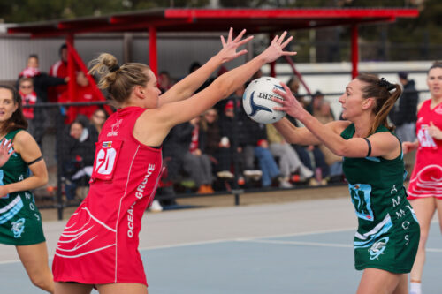 Geelong, Vic - on Saturday-August- 302025. -(Photograph by Marcel Berens).