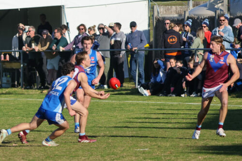 Geelong,  - on Saturday-August- 92025. -(Photograph by Marcel Berens).