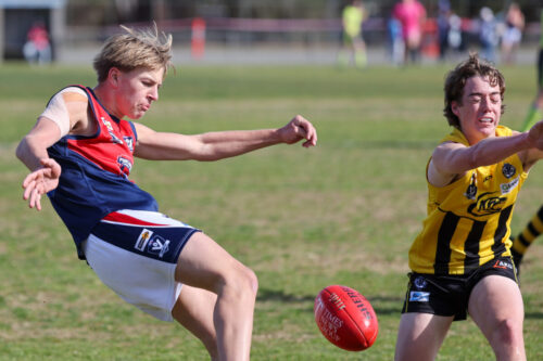 Newcomb, Vic - on Saturday-September- 62025. -(Photograph by Marcel Berens).