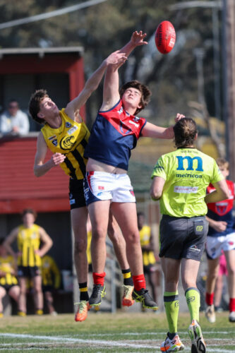Newcomb, Vic - on Saturday-September- 62025. -(Photograph by Marcel Berens).