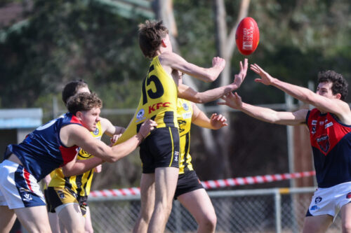 Newcomb, Vic - on Saturday-September- 62025. -(Photograph by Marcel Berens).