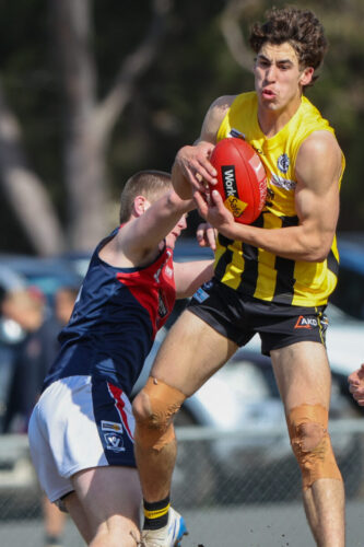 Newcomb, Vic - on Saturday-September- 62025. -(Photograph by Marcel Berens).