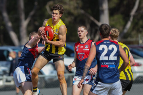 Newcomb, Vic - on Saturday-September- 62025. -(Photograph by Marcel Berens).