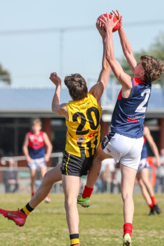 Newcomb, Vic - on Saturday-September- 62025. -(Photograph by Marcel Berens).