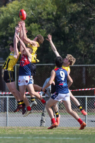 Newcomb, Vic - on Saturday-September- 62025. -(Photograph by Marcel Berens).
