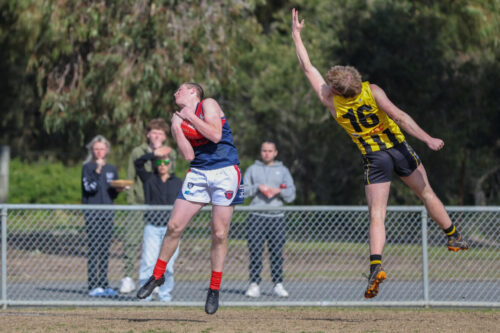 Newcomb, Vic - on Saturday-September- 62025. -(Photograph by Marcel Berens).