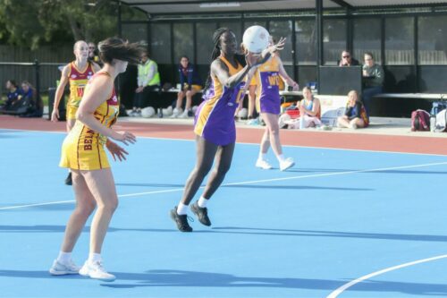 B07K5141-BelmontVsThomsonNetball