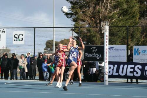 B07K9734-GDFNLGF3SeniorsWinchelseaVsEast-GeelongNetball