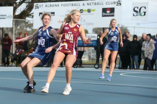 B07K9801-GDFNLGF3SeniorsWinchelseaVsEast-GeelongNetball